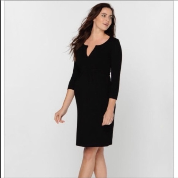 Isabella Oliver Dresses & Skirts - Isabella Oliver For Pea In The Pod Maternity Dress